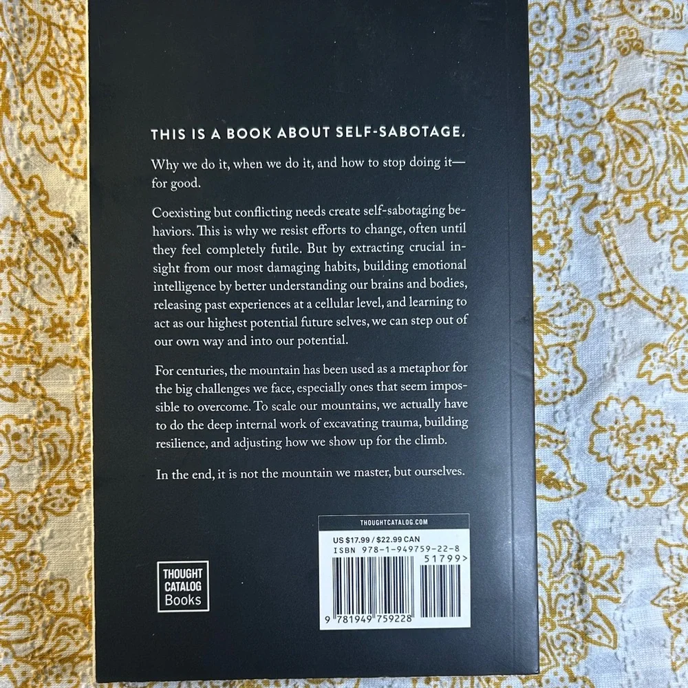 The Mountain Is You Book - Picture 3 of 3